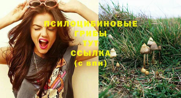 метамфетамин Вяземский